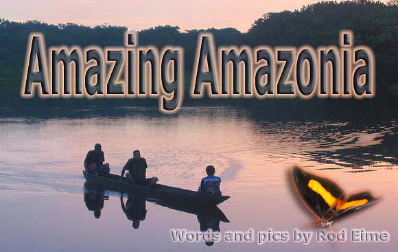 Header - Amzing Amazonia