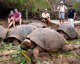 Giant Tortoises at CDRS
