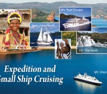 Small ship, expedition and adventure cruising